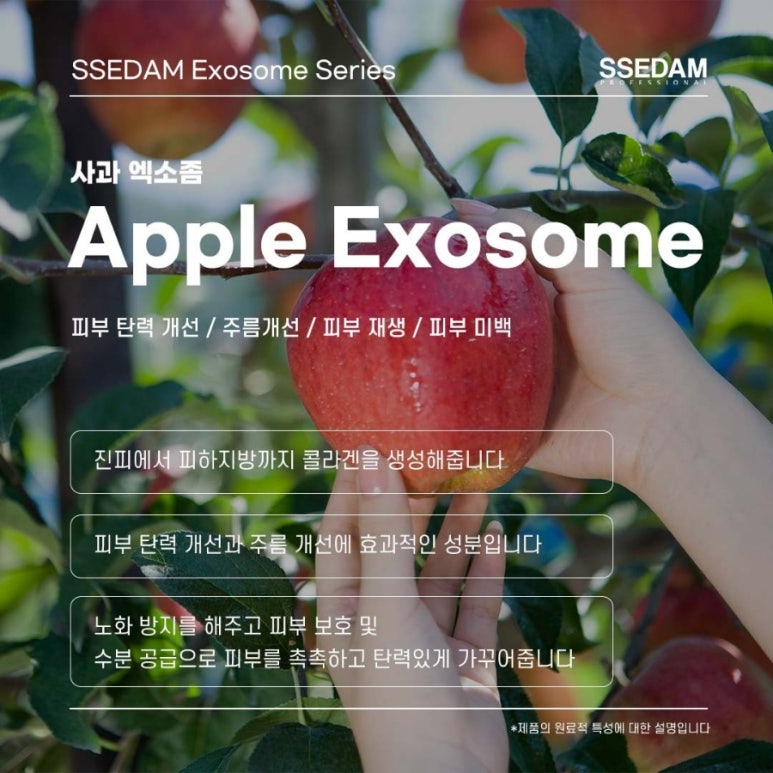라벨테라피 이미지