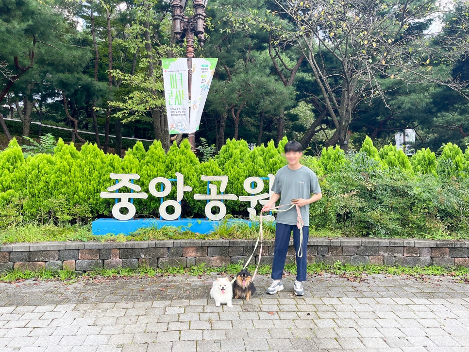 분당 중앙공원 주차 요금 및 강아지 산책 후기