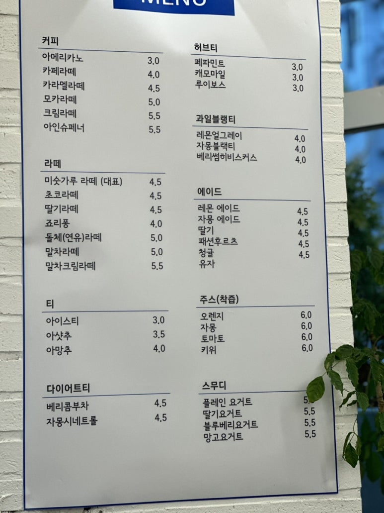 모이드모이드 이미지