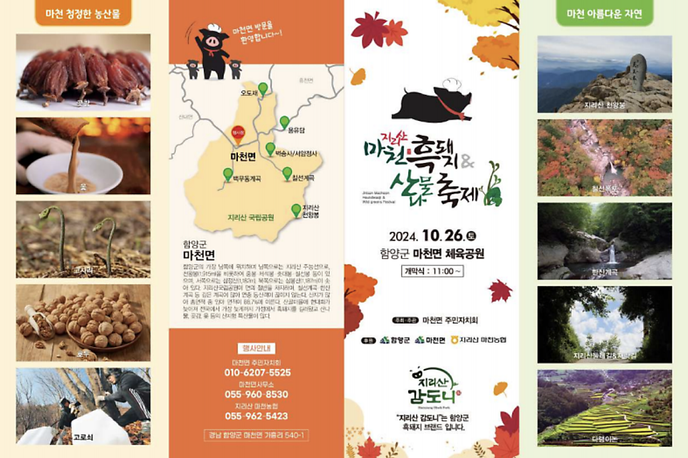 마천흑돼지 이미지