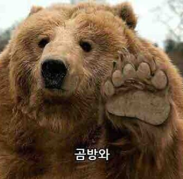 호타루 이미지