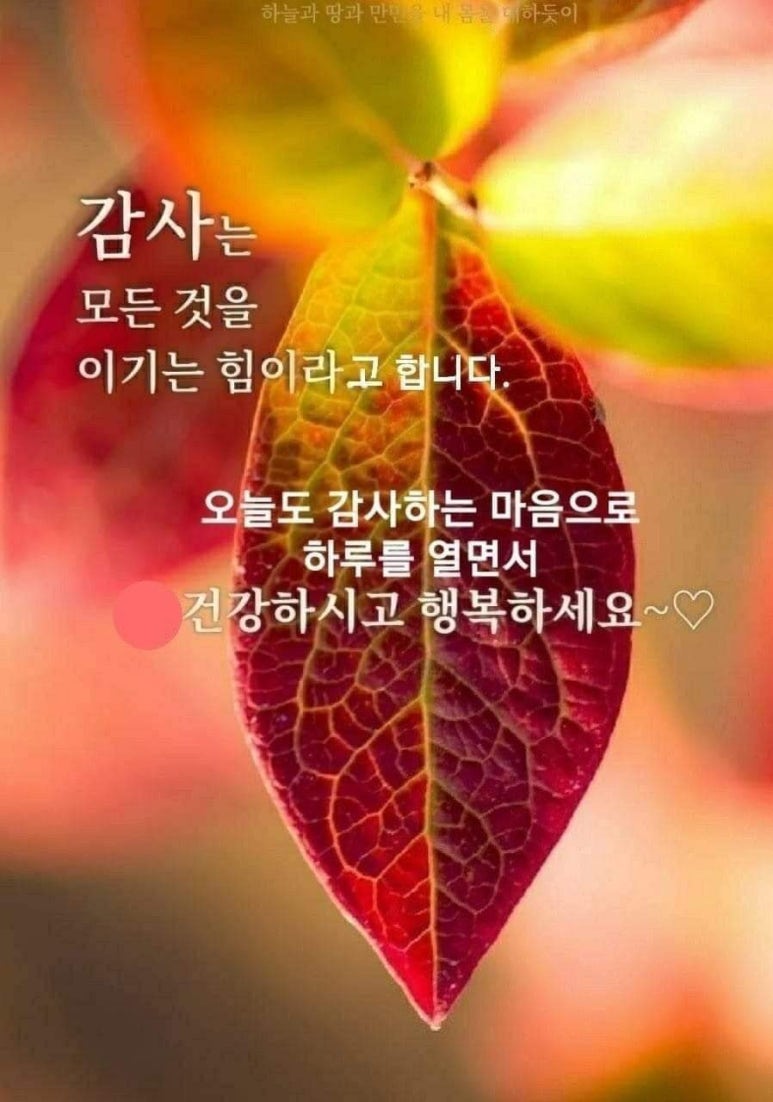 쪽신 이미지