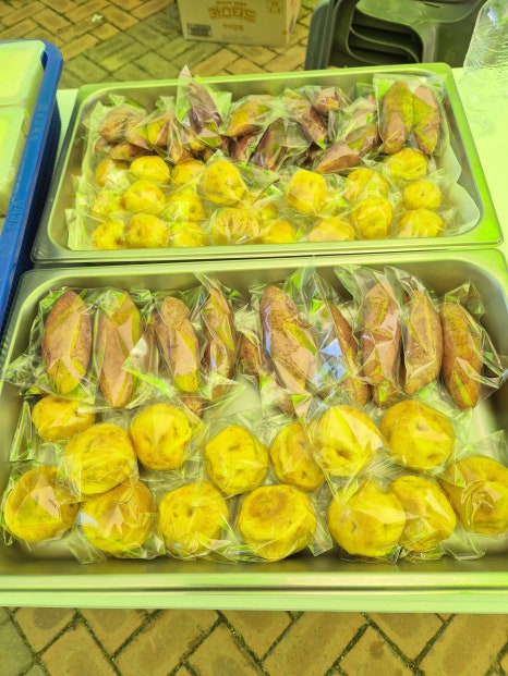 협동조합체험마루 이미지