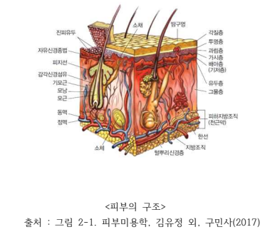 다움교육원 이미지