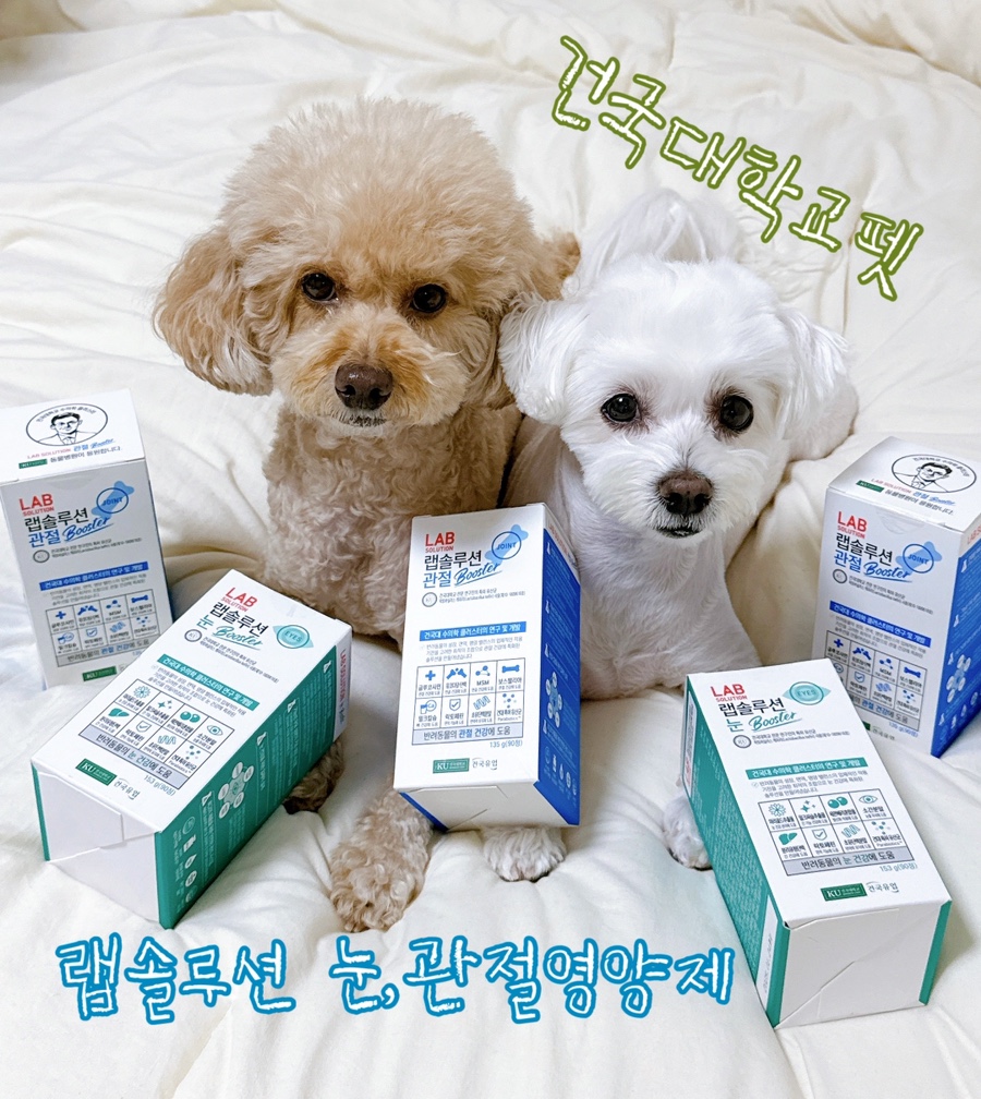 하람솔루션 이미지