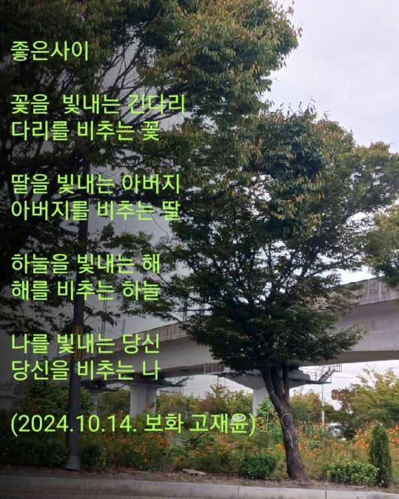 새싹존크린센터 이미지