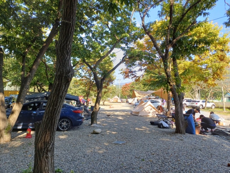 제령포레스트캠프 이미지