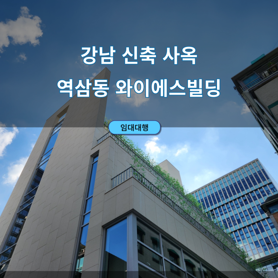 와이에스강남 이미지