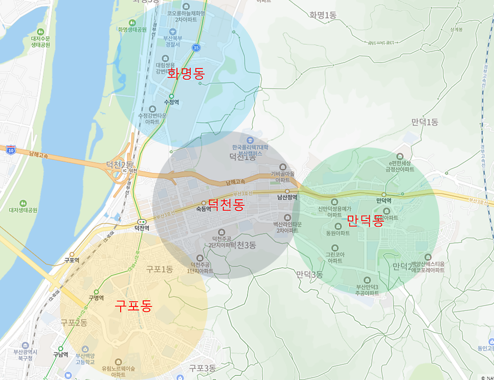 새들유치원 이미지