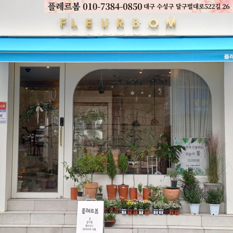 플레르봄 이미지