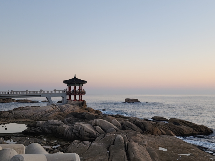 오디텔레콤 이미지