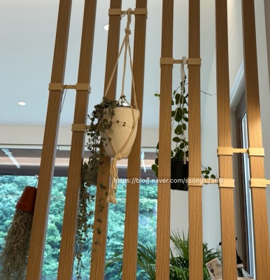 그로체 이미지