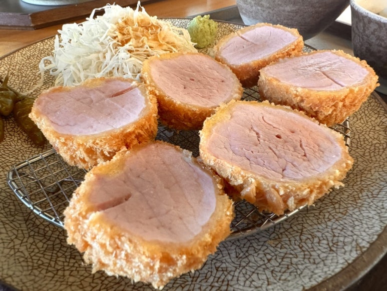 카츠닉 이미지