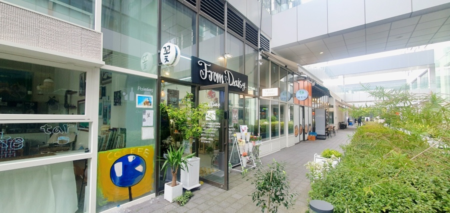 프롬데이지 이미지