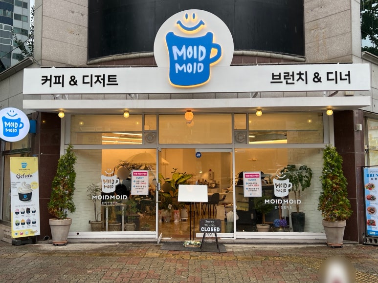 모이드모이드 이미지