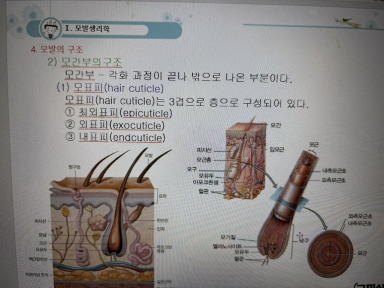 이숙자헤어 이미지