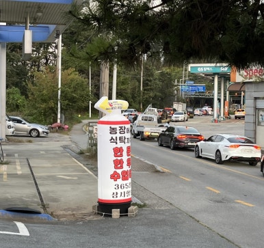 세계로정육할인마트 이미지