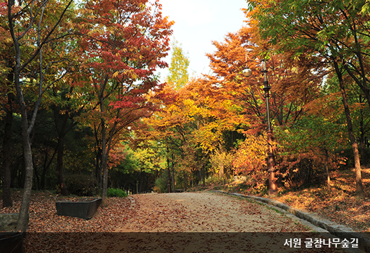 한밭화원 이미지
