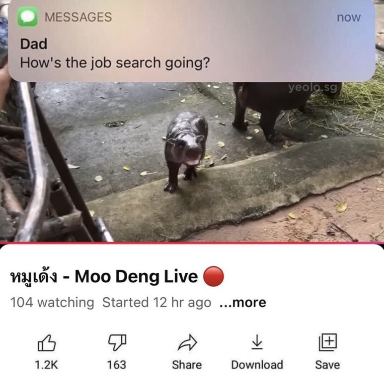 이*주 이미지