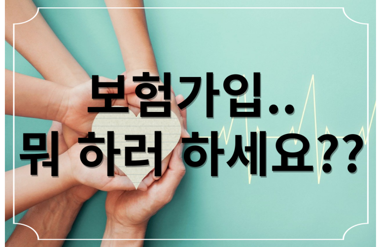 서현법률사무소 이미지