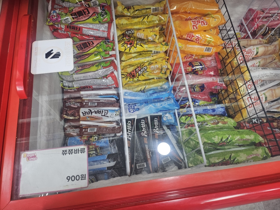 빙고링고 사진 8
