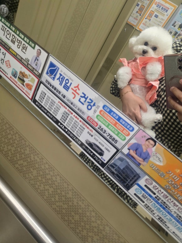 더벤티 언양 양우 내안애점 이미지