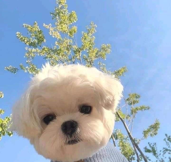 주림 이미지