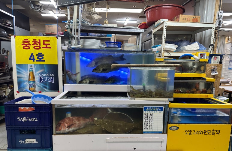 충청도4호 이미지