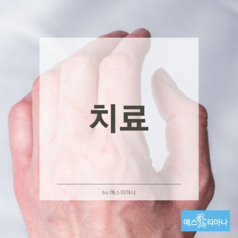 예스엔피 이미지