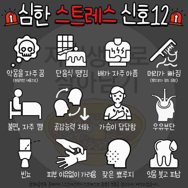 토하주 이미지