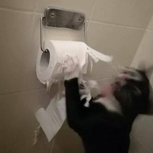 더허 이미지