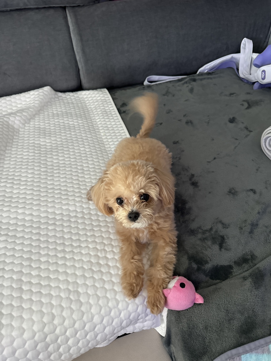 위드스테이부산 이미지