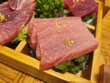 큰물참치 이미지