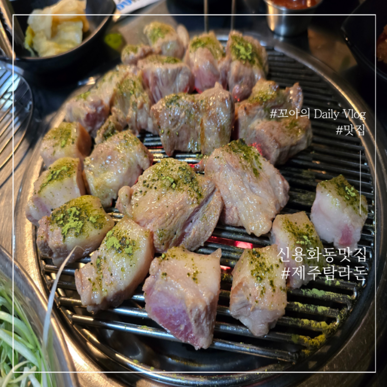 제주탐라돈 이미지