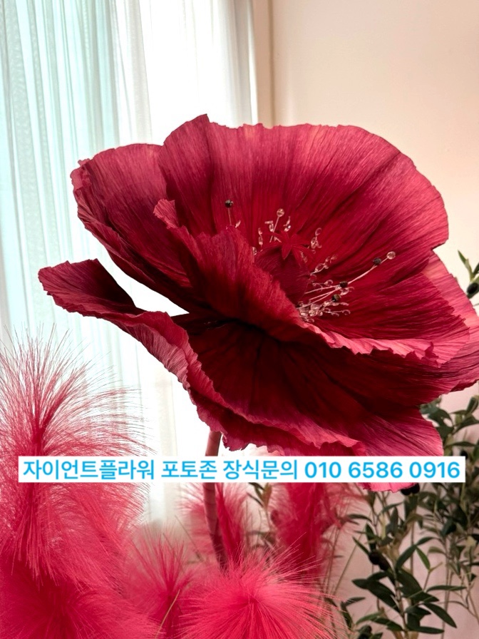 대구현풍초등학교 이미지