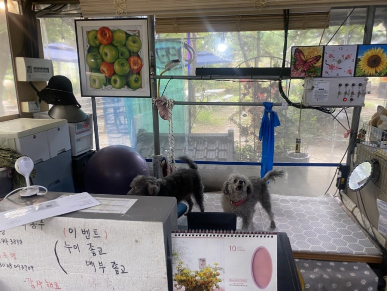 산닭오리불놀이 이미지