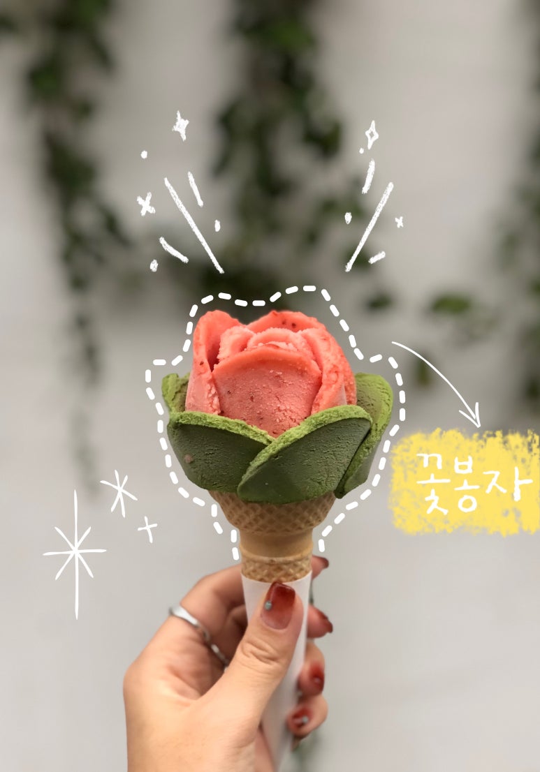 꽃봉자 이미지