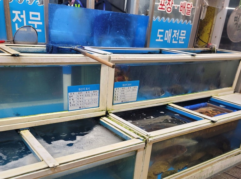 왔다도매횟집 이미지