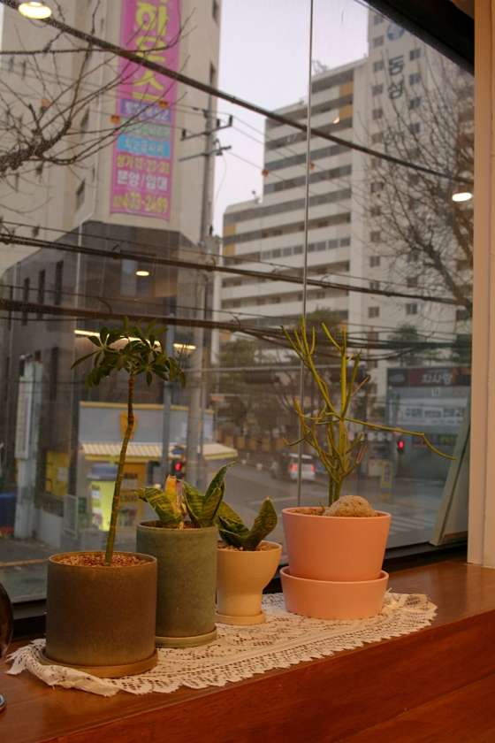살롱데이즈 이미지