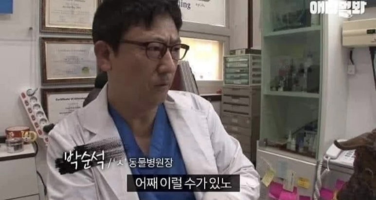 엘에이 이미지