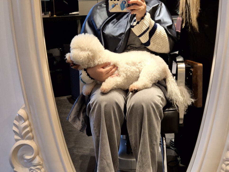 예뻐지는오늘 이미지