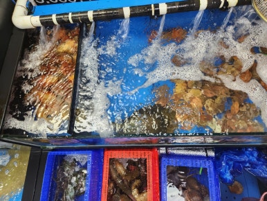 청춘수산 이미지
