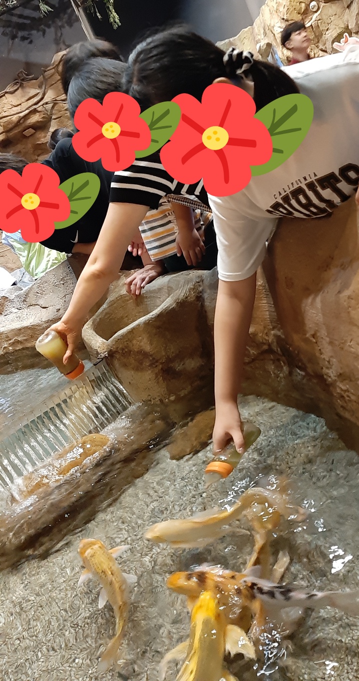 하이드림온 이미지