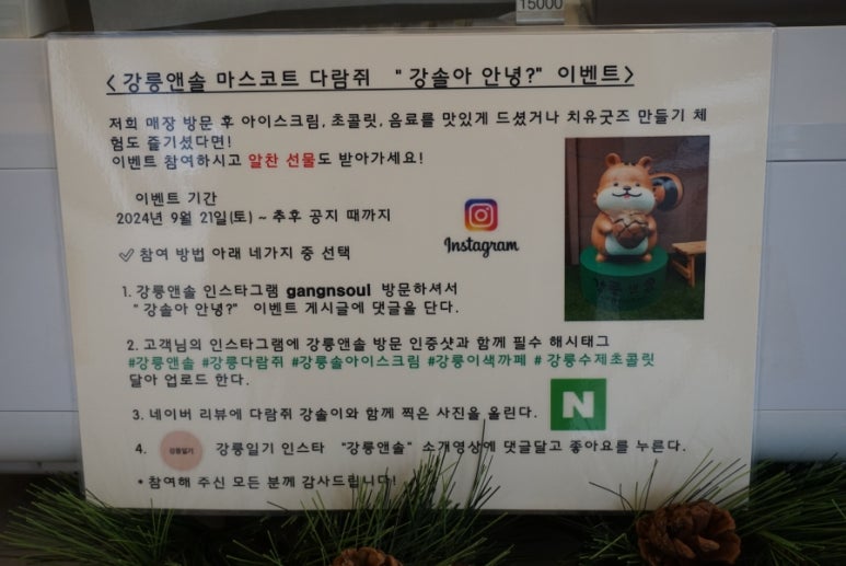 강릉앤솔 이미지