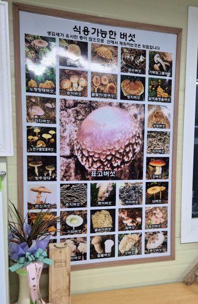 곰실농원체험장 이미지