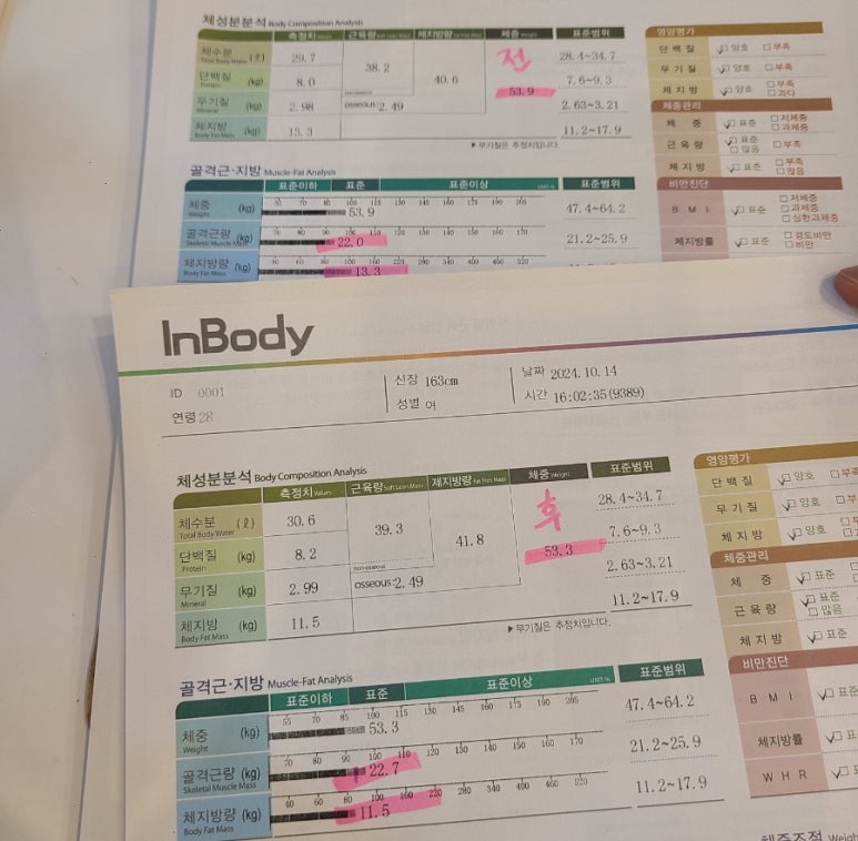 수뷰티&귀족다이어트 이미지