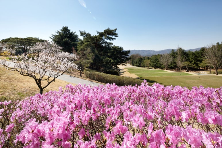 (주)태영레져 이미지