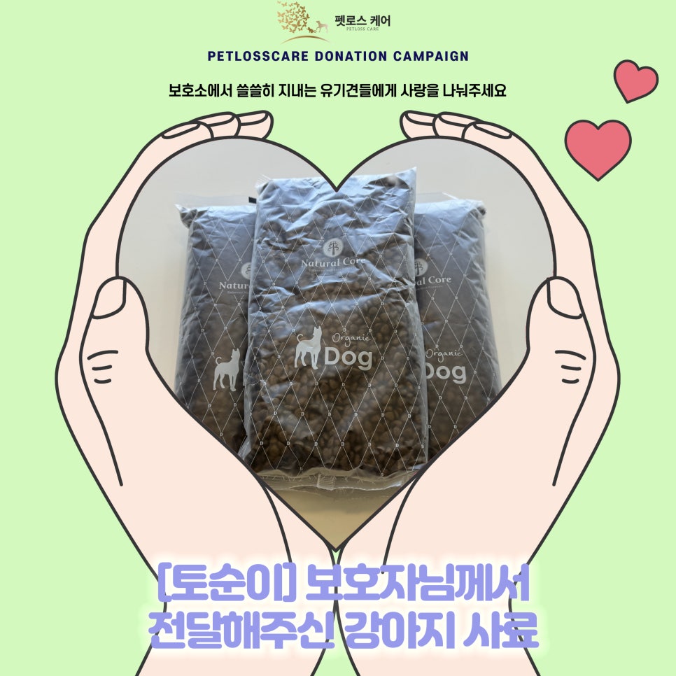 시저사 이미지