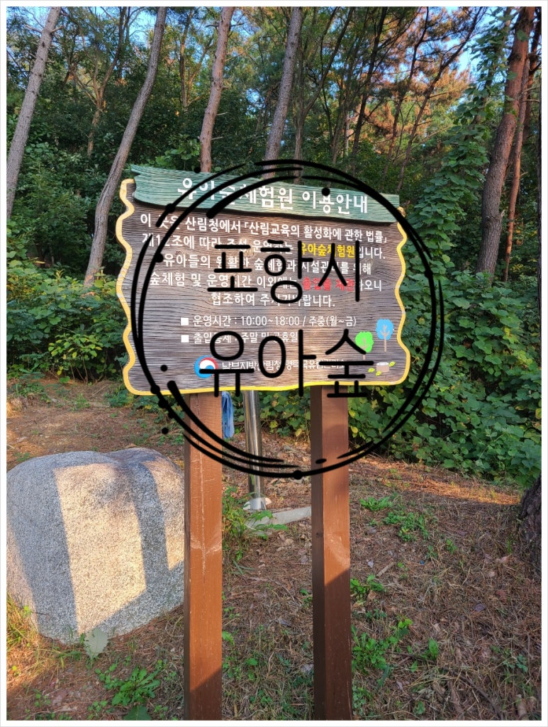 솔바람 유아숲체험원 이미지