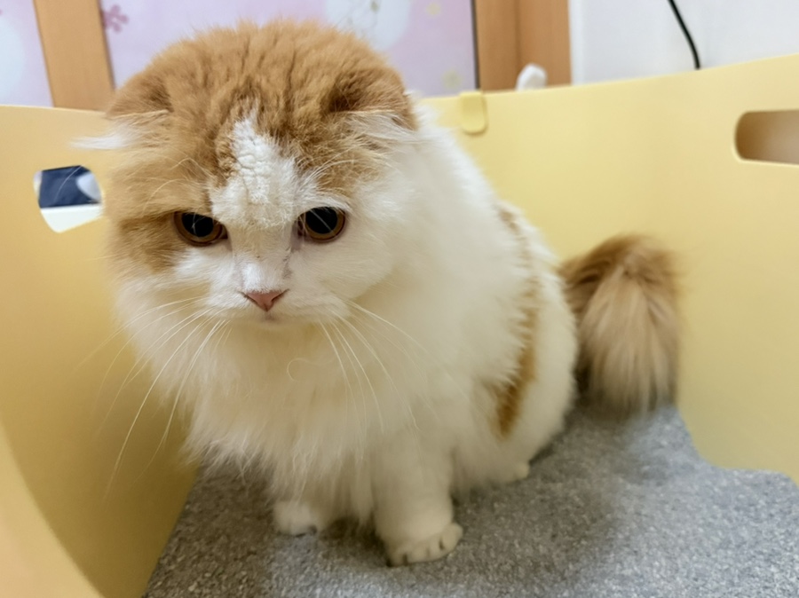 에버크린 이미지